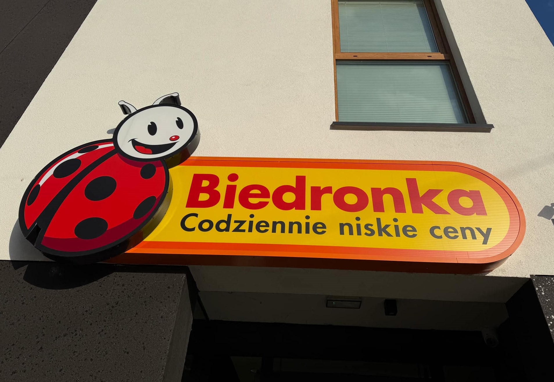 Gigantyczna promocja w Biedronce. Skorzystaj, zanim będzie za późno