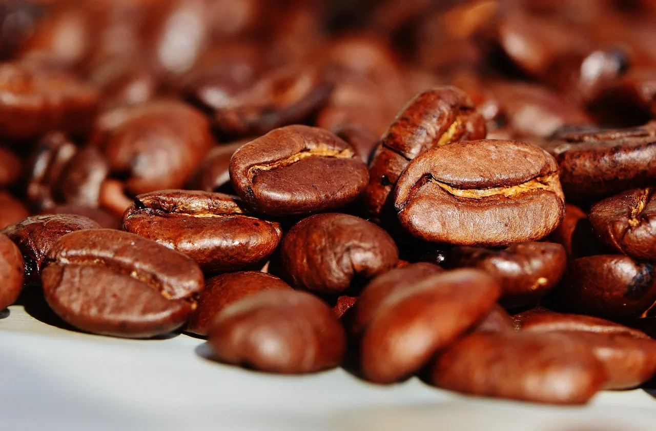 Koniec taniej kawy! Eksperci ostrzegają, to dopiero początek drożyzny. Dlaczego za kawę płacimy fortunę?