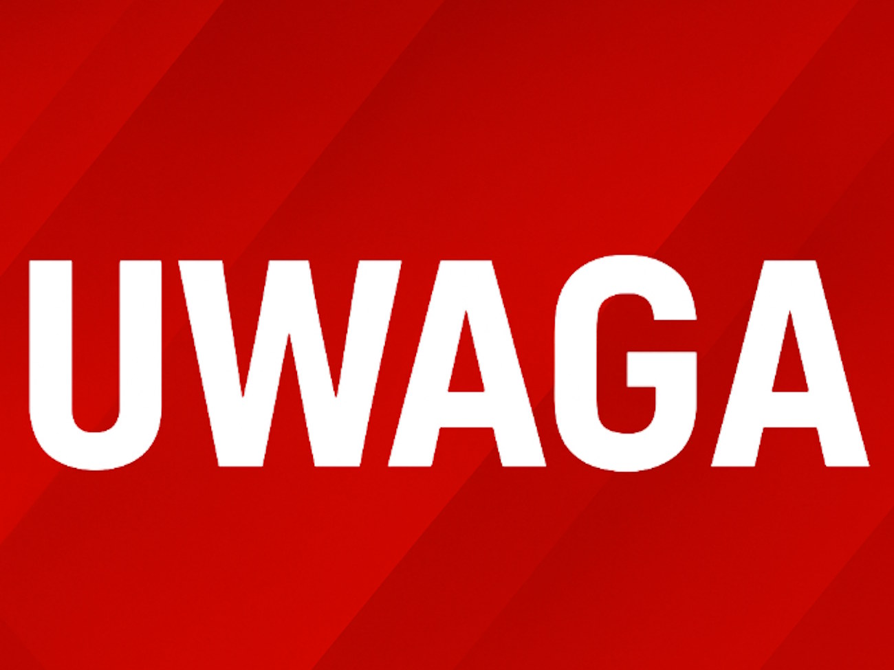 Złodzieje odkryli, ile naprawdę są warte. Kradną je masowo, a najnowsze statystyki są alarmujące