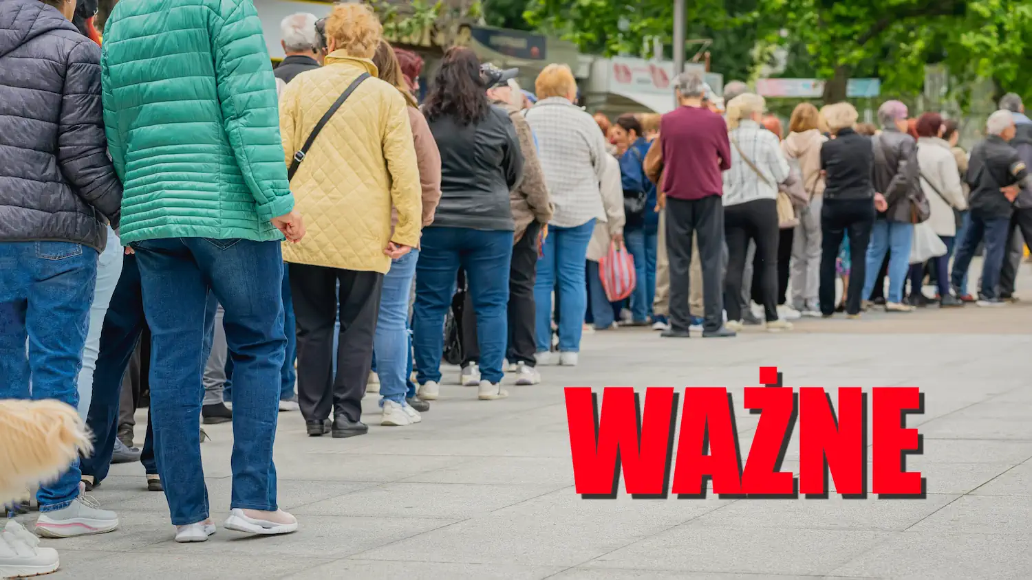 Kolejki w całej Polsce. Ludzie robią zapasy. Sprzedaż wzrosła o kilkaset procent