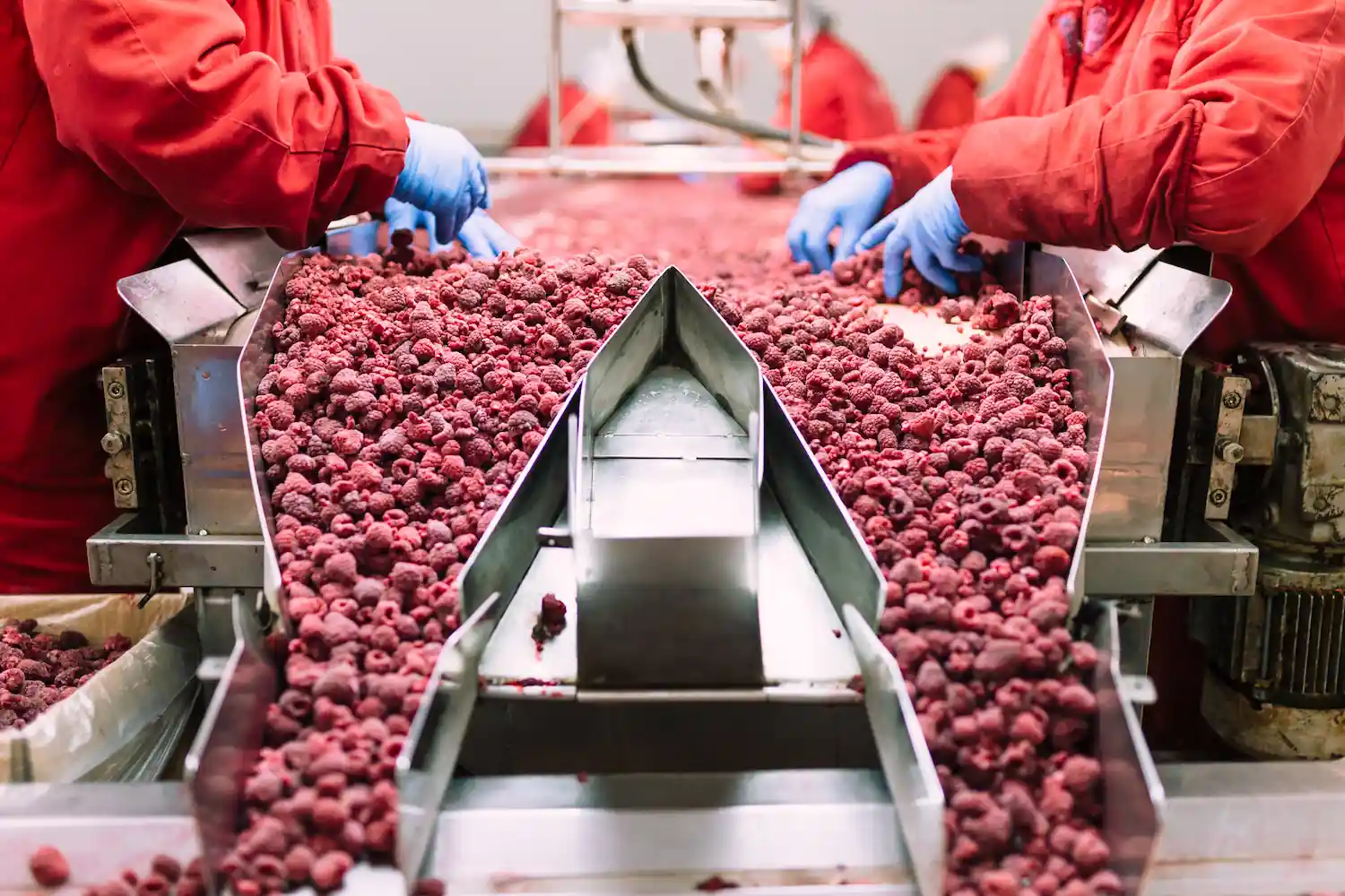 Polski producent żywności ogłasza upadłość. Rolnicy mogą ubiegać się o odszkodowanie, ale czasu jest niewiele