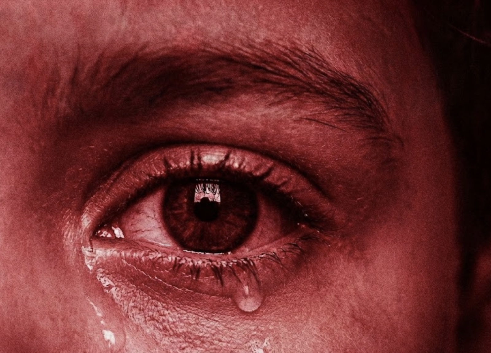 Wrzucasz uśmiechnięte zdjęcie dziecka przy choince? „Cyfrowe porwanie” to horror, który mu fundujesz