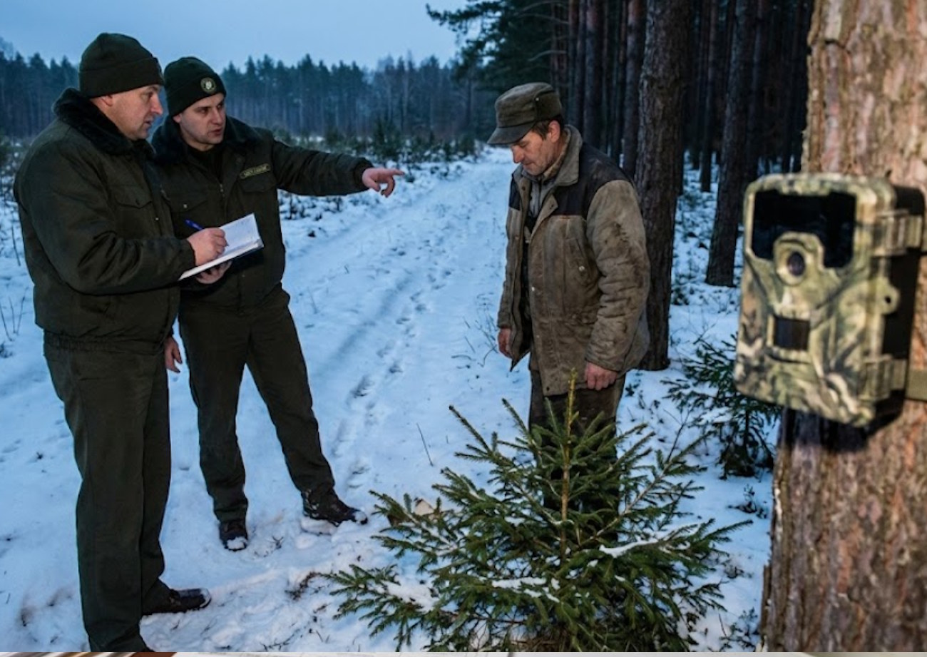To będzie najdroższy spacer w twoim życiu. Fotopułapki widzą w ciemności, a sąd nie ma litości