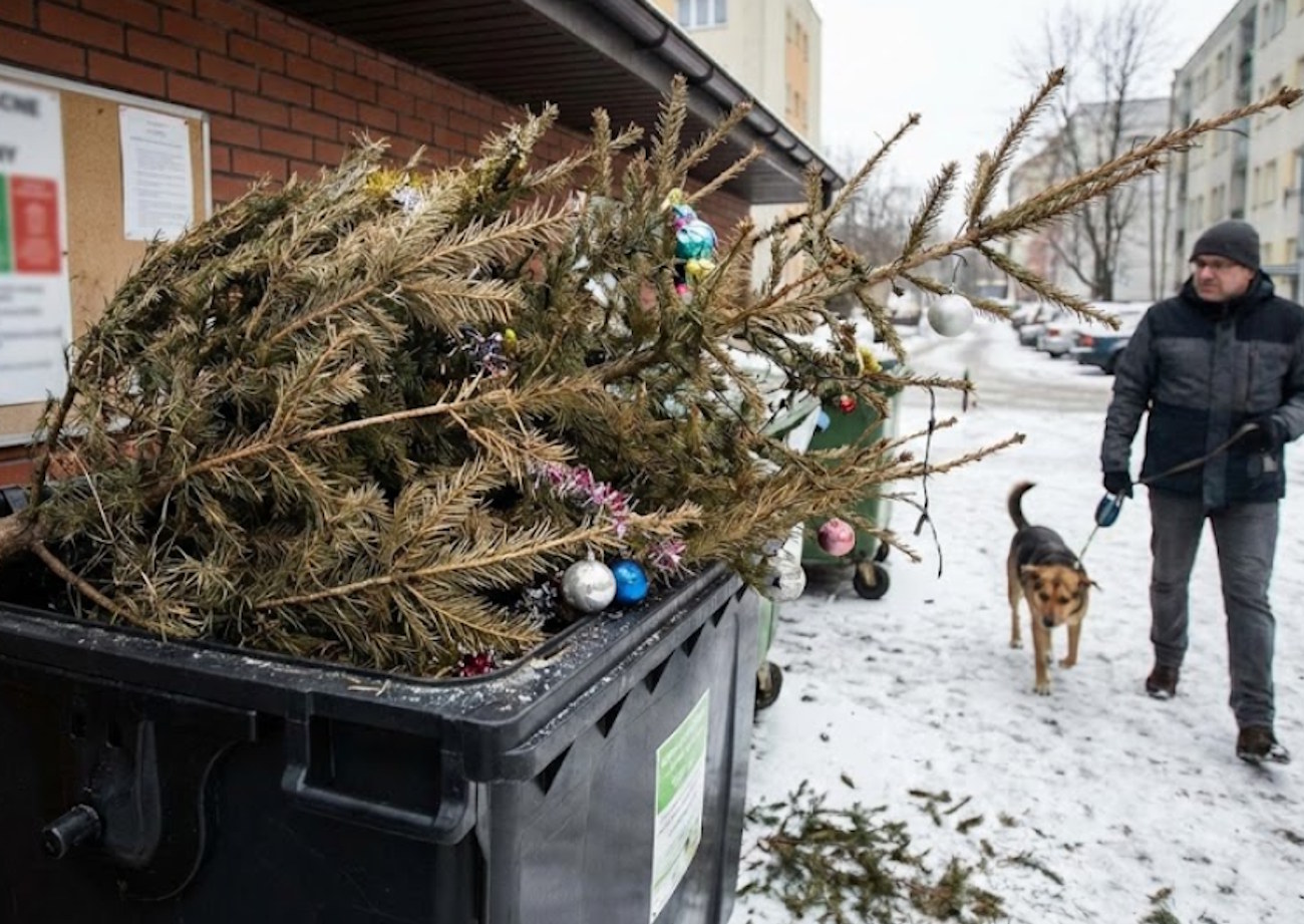 Sąsiad wyrzucił choinkę do „zmieszanych”? Zapłacicie wszyscy. Kara za brak segregacji to choćby czterokrotność czynszu