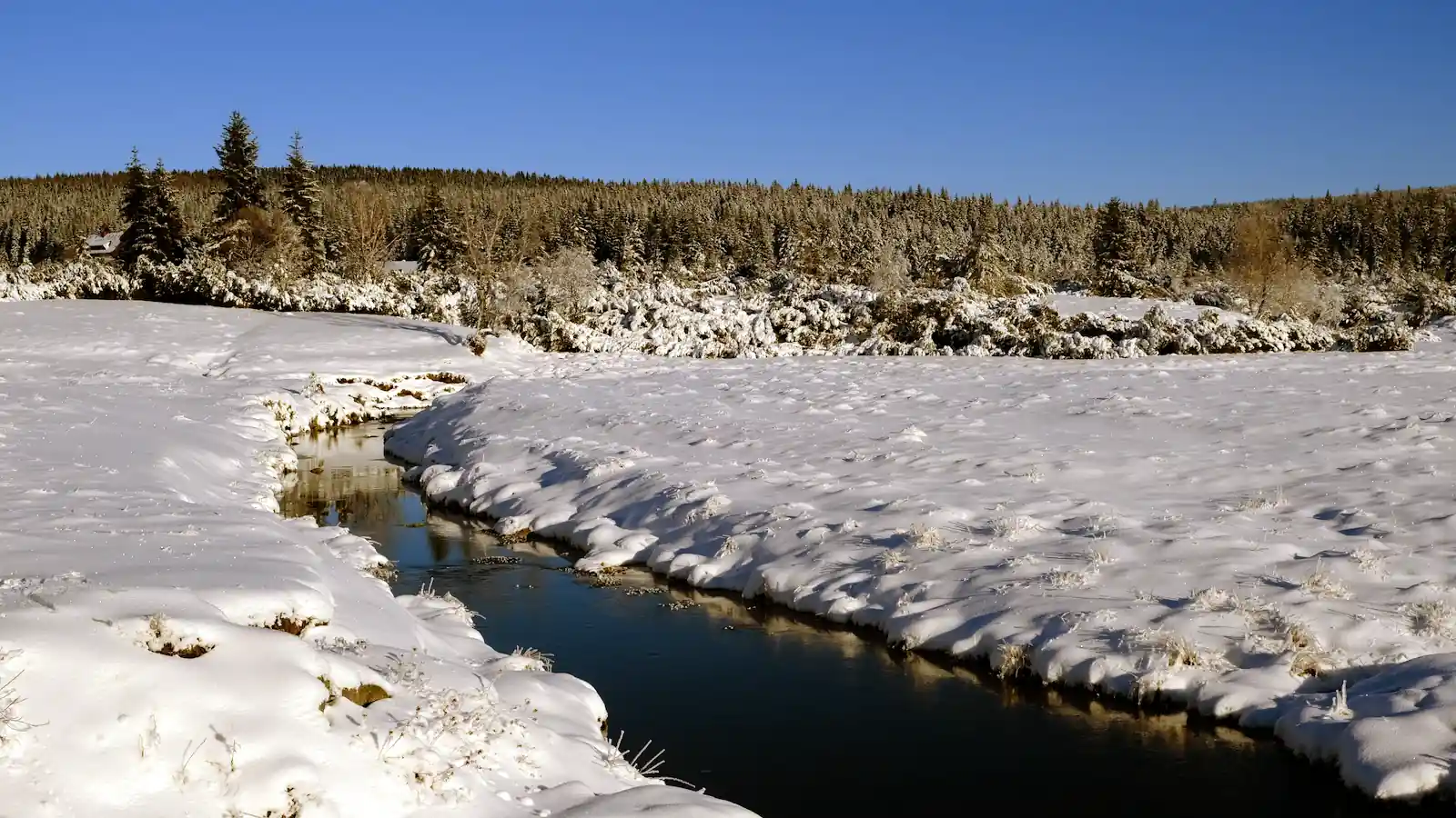W tym miejscu Polski było dzisiaj blisko -32 stopnie