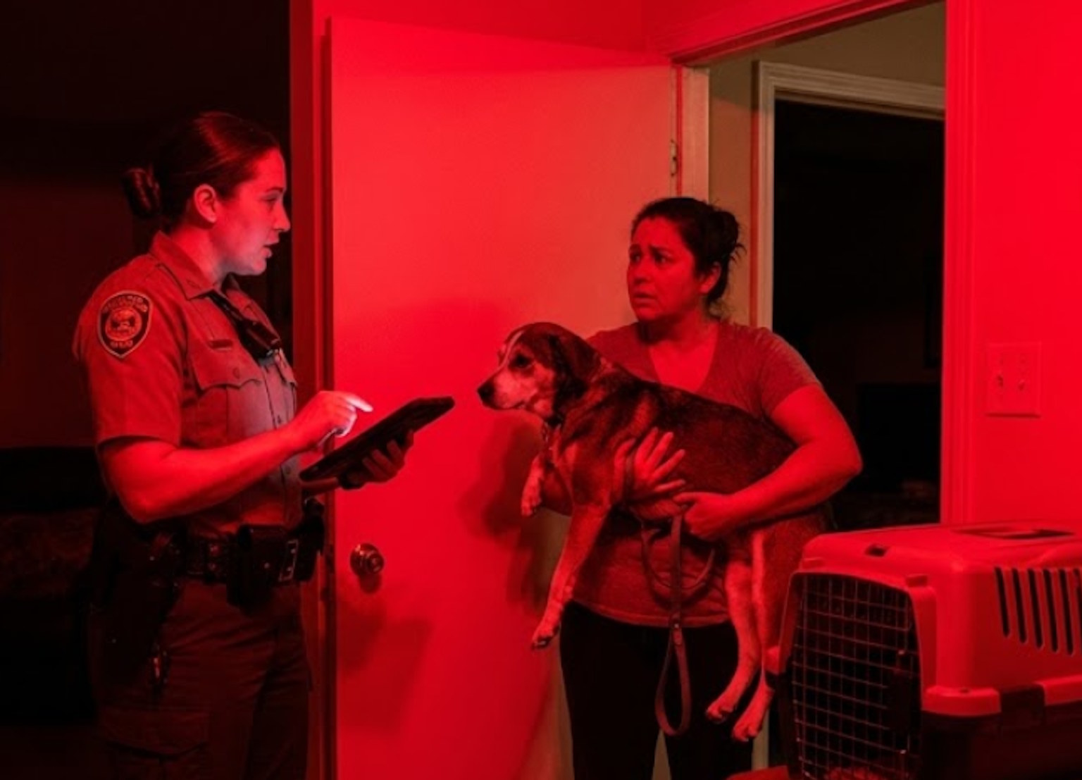 Masz psa? W 2026 roku wizyta urzędnika może Cię drogo kosztować