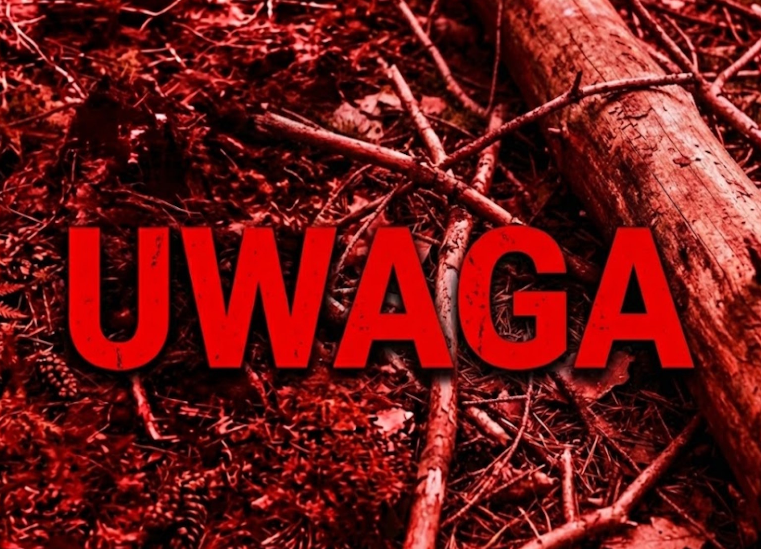 Śmiertelne niebezpieczeństwo w białołęckim lesie. Dzieci znalazły uzbrojoną „Katiuszę” tuż przed Wigilią