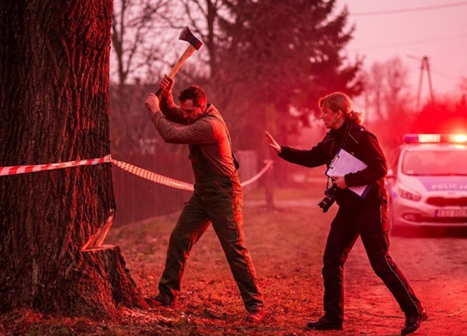 Chcesz wyciąć drzewo na swojej działce? Odłóż siekierę. Kara za ten błąd liczona jest w tysiącach złotych