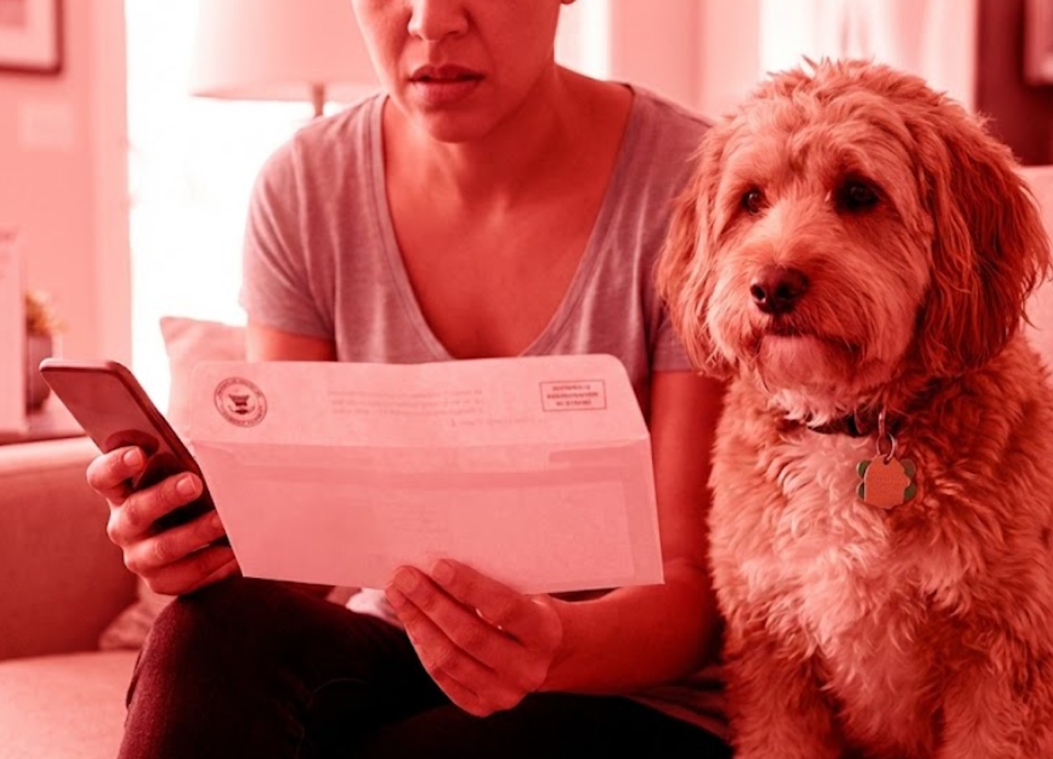 Masz psa w domu? Sprawdź, czy nie wisisz gminie pieniędzy. Termin opłaty mija, a mandat to 500 zł plus odsetki