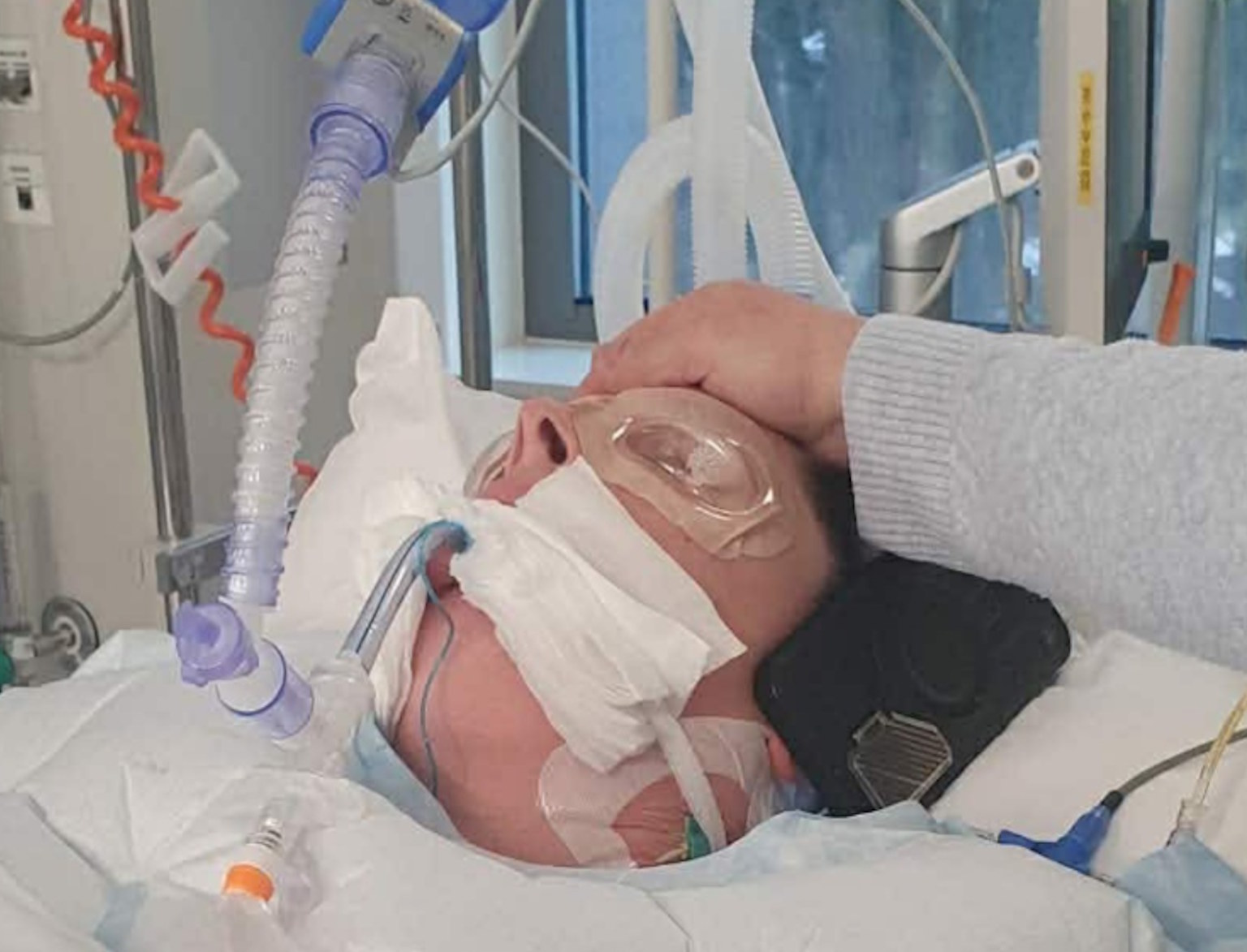 Dramat w 48 godzin. Córka błaga o pomoc dla mamy z Warszawy