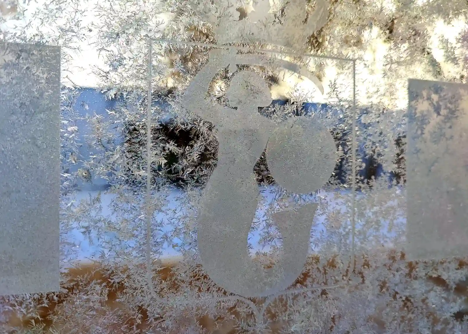 Zabójcze mrozy zbierają żniwo. Tyle osób zmarło z powodu wyziębienia