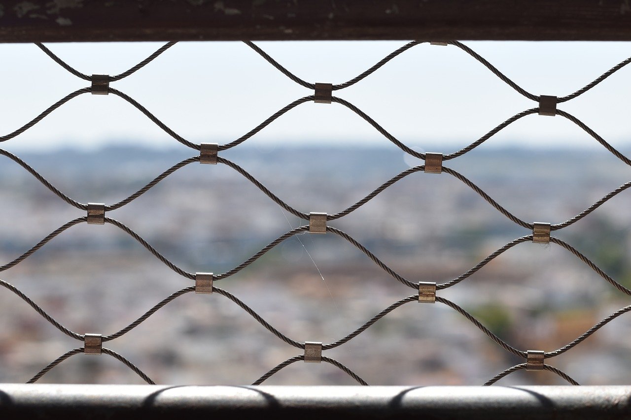 1,75 mln papierosów z Białorusi. Straż Graniczna rozbiła przemyt na dużą skalę