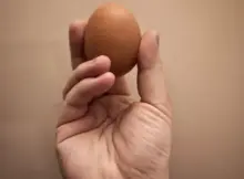 Mężczyzna trzyma jajko w dłoni. Fot. Warszawa w Pigułce.