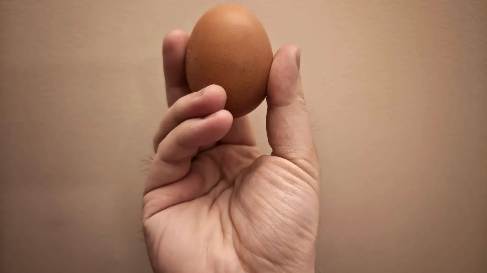 To nie jest tylko żółtko. Nie uwierzysz co tak naprawdę jesz w Wielkanoc