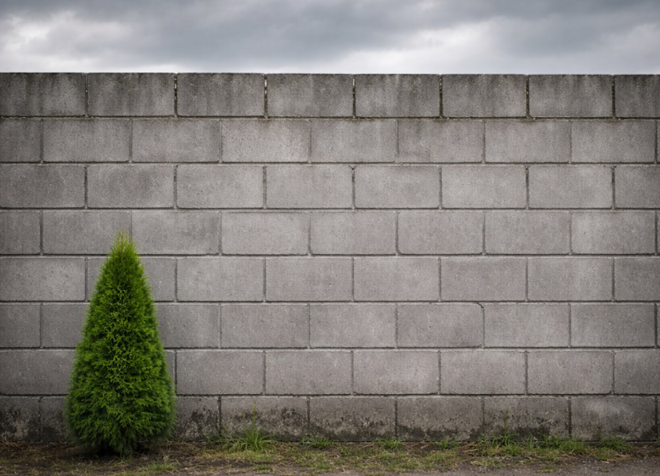 Sąsiad stawia wielki, betonowy mur na granicy działki? Czy musisz za to zapłacić?