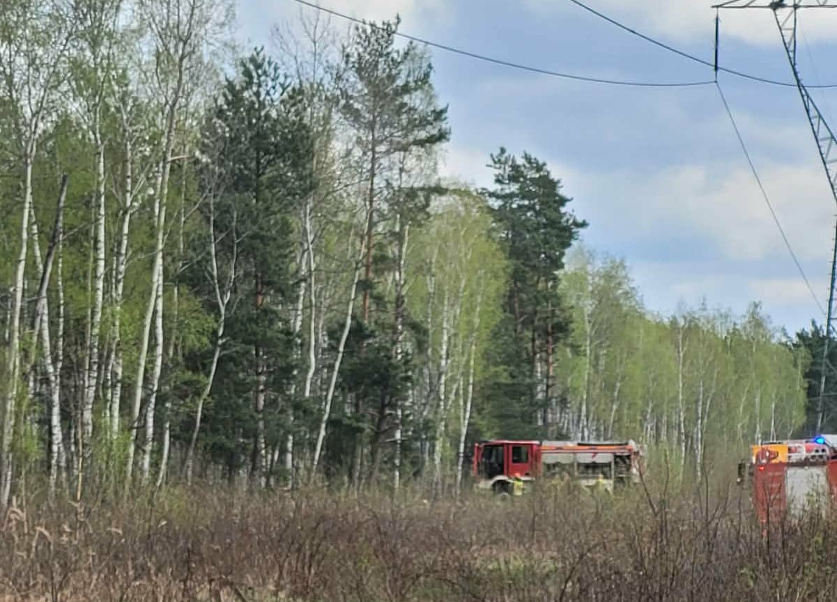 Pożar lasu w Warszawie. Na miejscu strażacy i policja, sytuacja wciąż nieopanowana