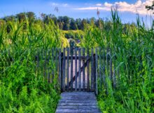 płot ogrodzenie Fot. Pixabay