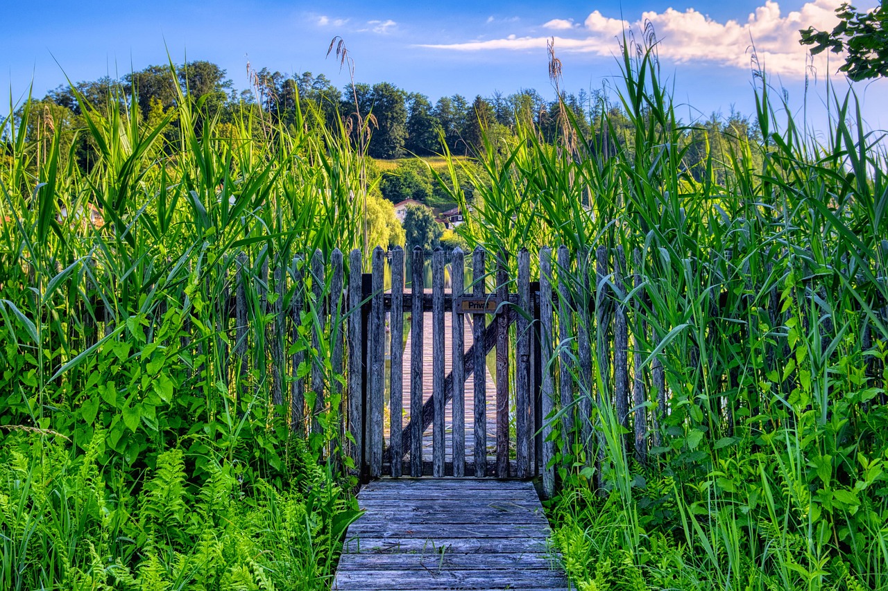 Masz taki płot przy domu? Od września 2026 możesz mieć problem