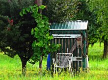 Drzewa i białe krzesło ogrodowe przed szopą na działce. Fot. Pixabay