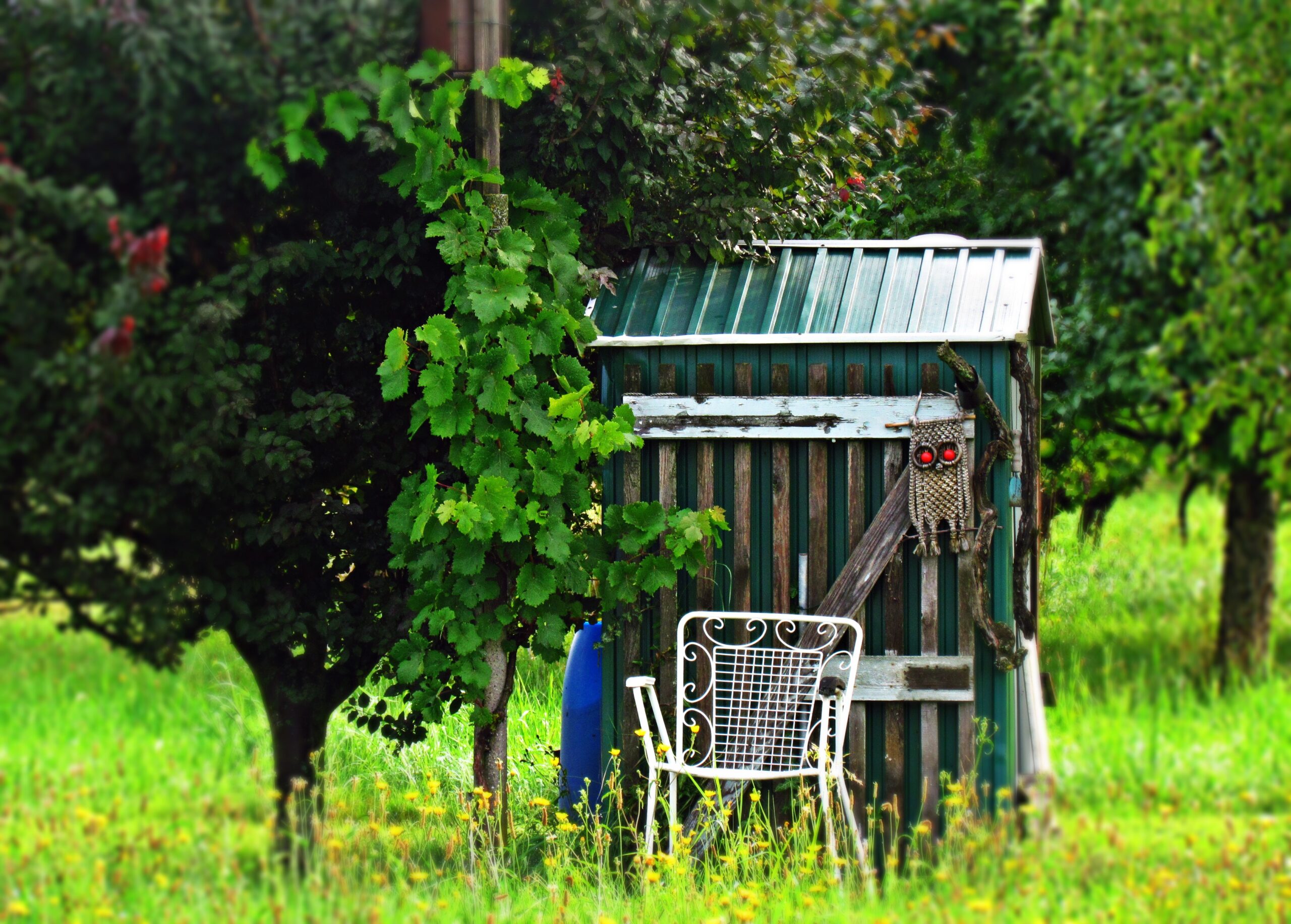 Drzewa i białe krzesło ogrodowe przed szopą na działce. Fot. Pixabay