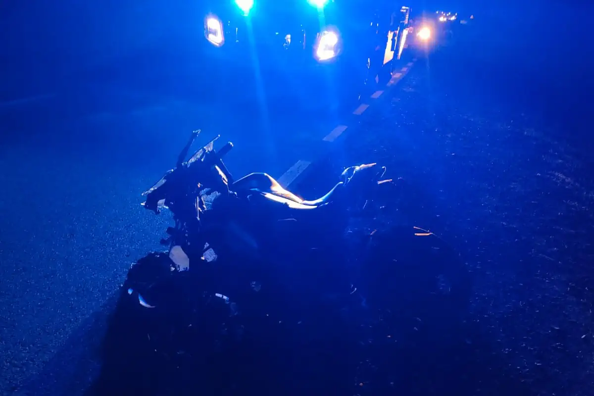 Tragiczny wypadek na Mazowszu. Motocyklistka zginęła w zderzeniu z łosiem