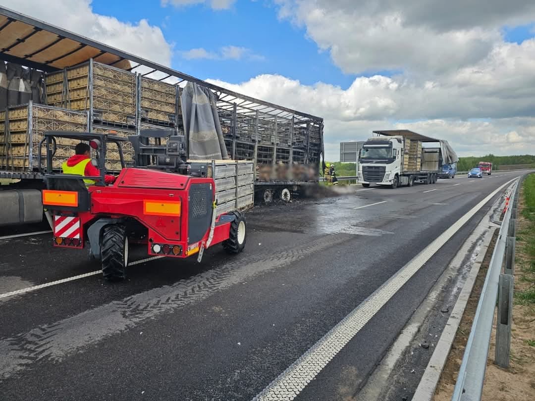 Pożar ciężarówki z tysiącami kurczaków. Chaos na S19 i wielogodzinny paraliż ruchu