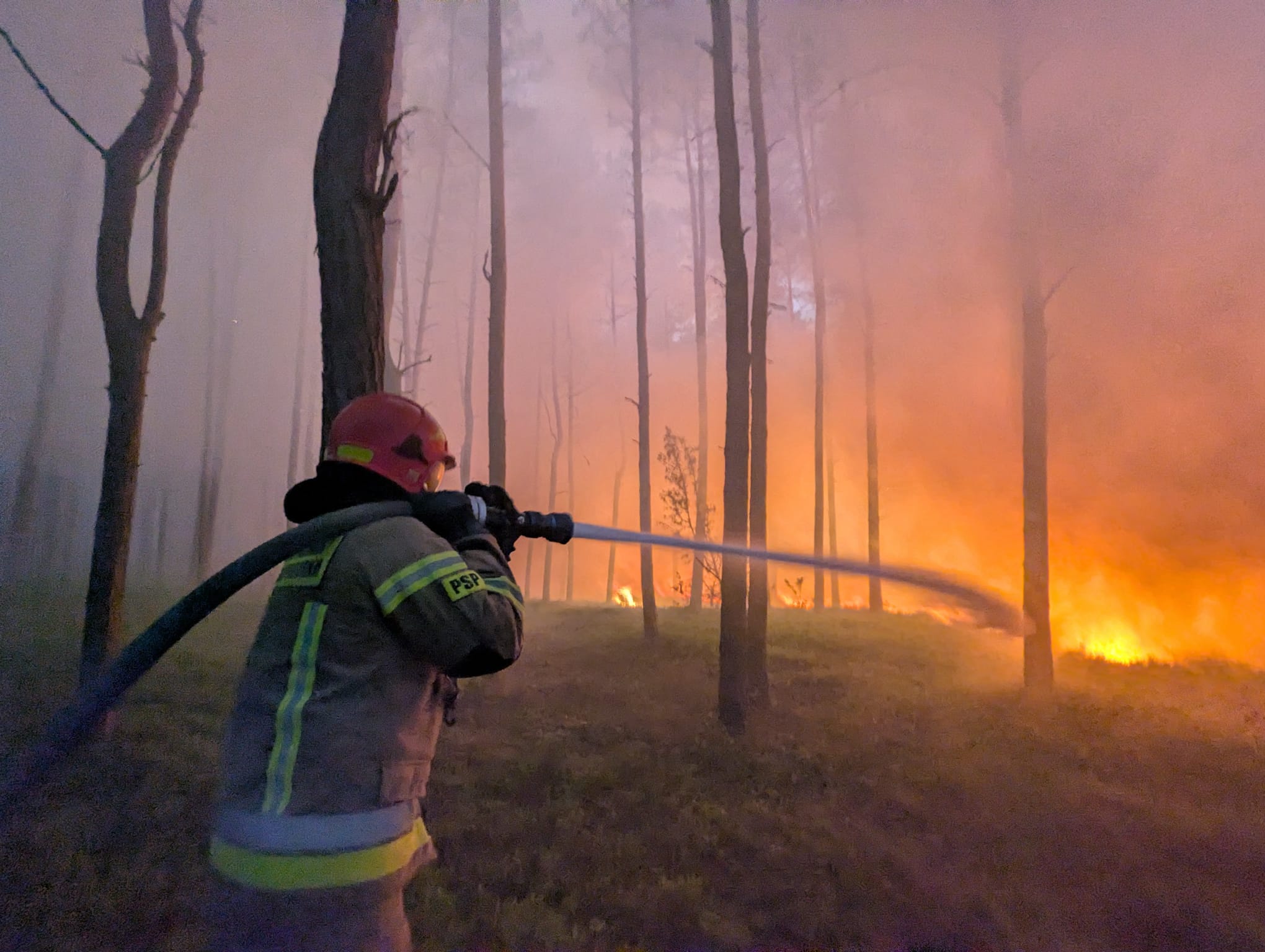 30 hektarów lasu w ogniu tuż pod Warszawą. Ewakuacja wsi, 400 strażaków, DK50 zamknięta. Podpalenie?