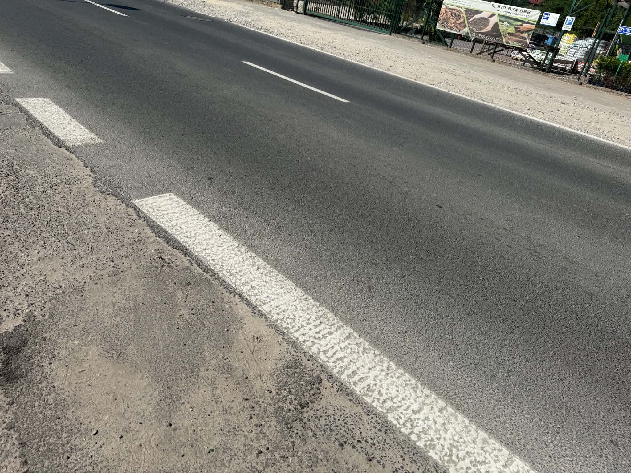 Temperatura asfaltu parzy łapy psów. Prosty test 5 sekund uratuje Twojego pupila przed cierpieniem