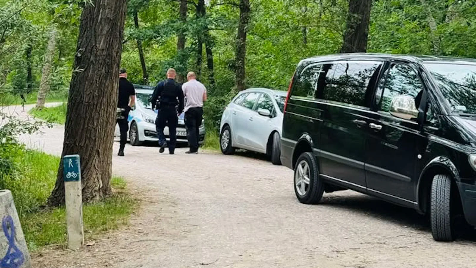 Tragedia nad Wisłą przy Moście Poniatowskiego. Mężczyznę przygniotło drzewo, nie żyje