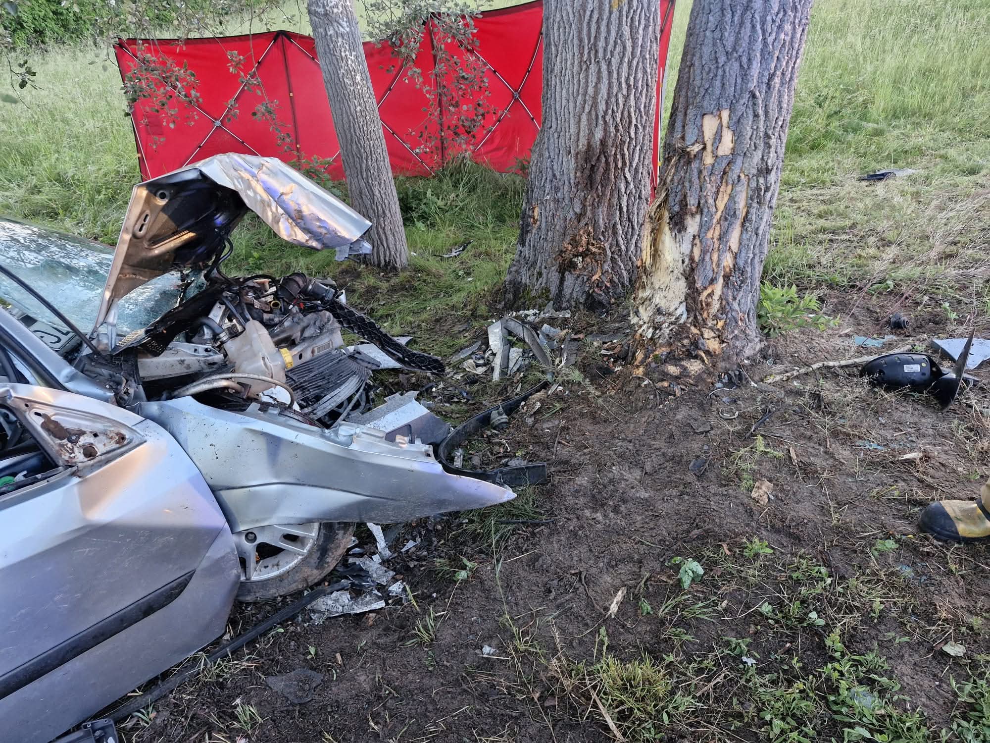 Śmiertelny wypadek pod Warszawą. Ford uderzył w drzewo, kierująca zginęła na miejscu