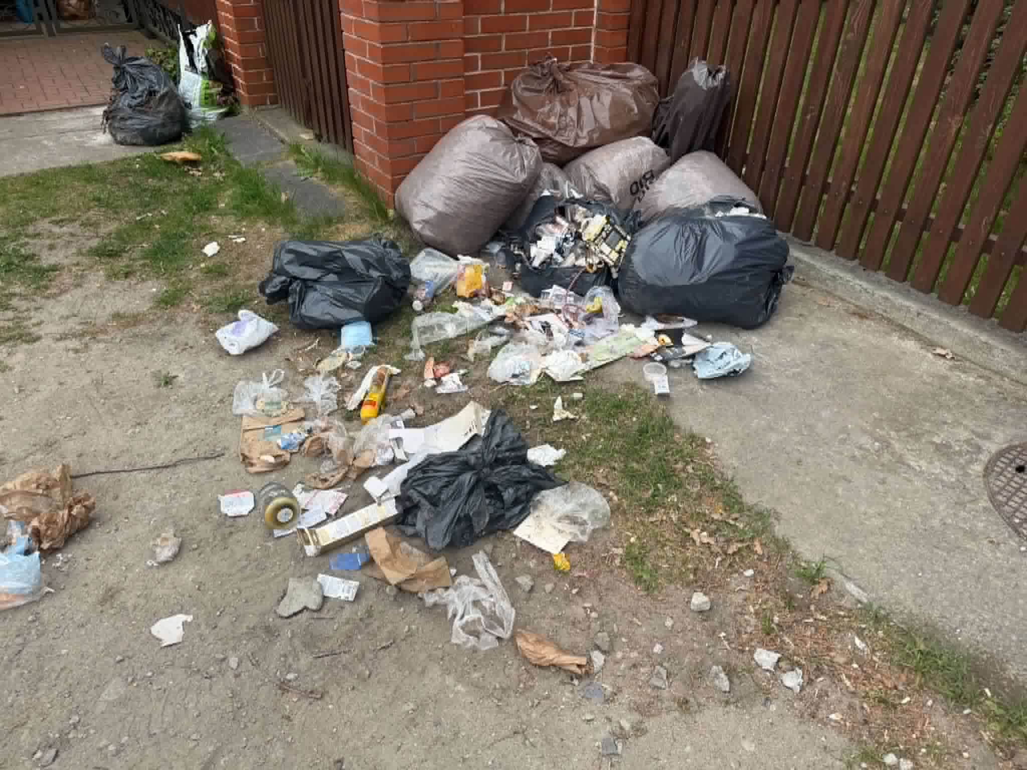 śmieci rozwleczone przez dziki Fot. Warszawa w Pigułce