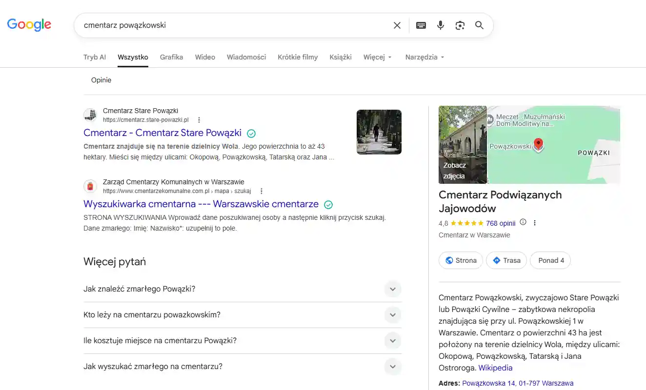 Fot. Screen z wyszukiwarki Google.