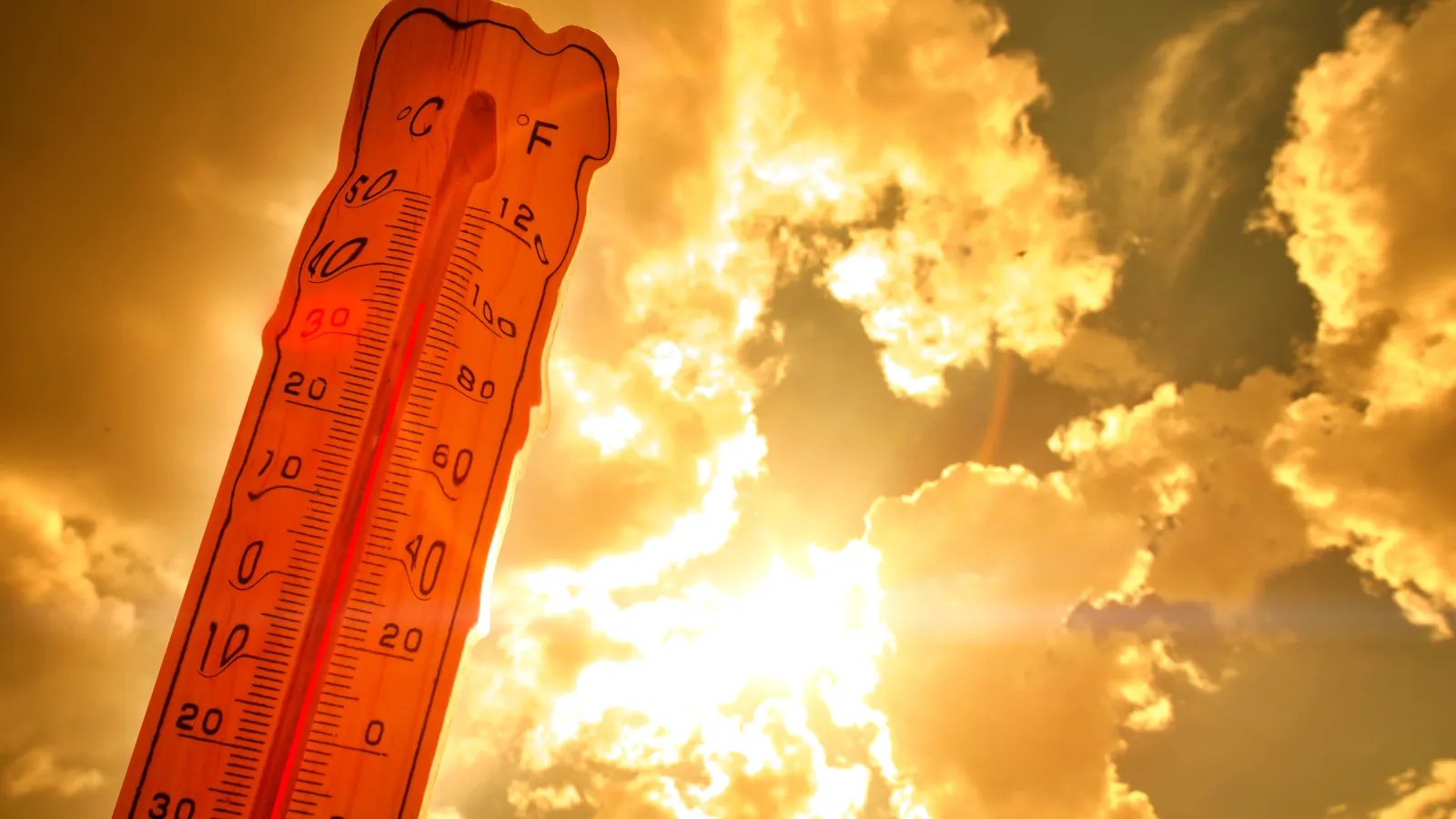 Szczyt fali upałów dopiero nadchodzi. IMGW publikuje najnowszą prognozę. Warszawa rozgrzeje się do absurdalnych temperatur
