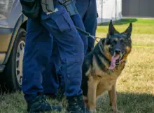 Policjanci z psem.