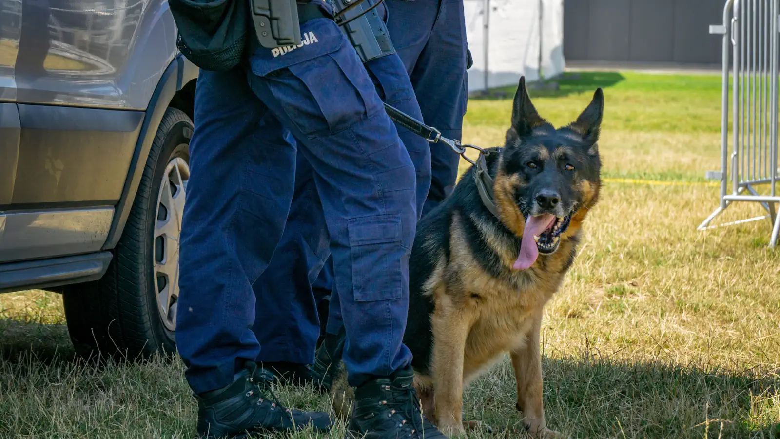 Gigantyczna akcja warszawskiej policji. 655 policjantów odwiedziło 672 adresów w jeden dzień