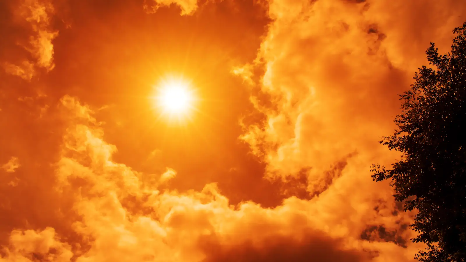 AccuWeather prognozuje 40 stopni w Warszawie w środę. Na południe od stolicy może być jeszcze goręcej