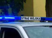 Radiowóz straży miejskiej na sygnale.