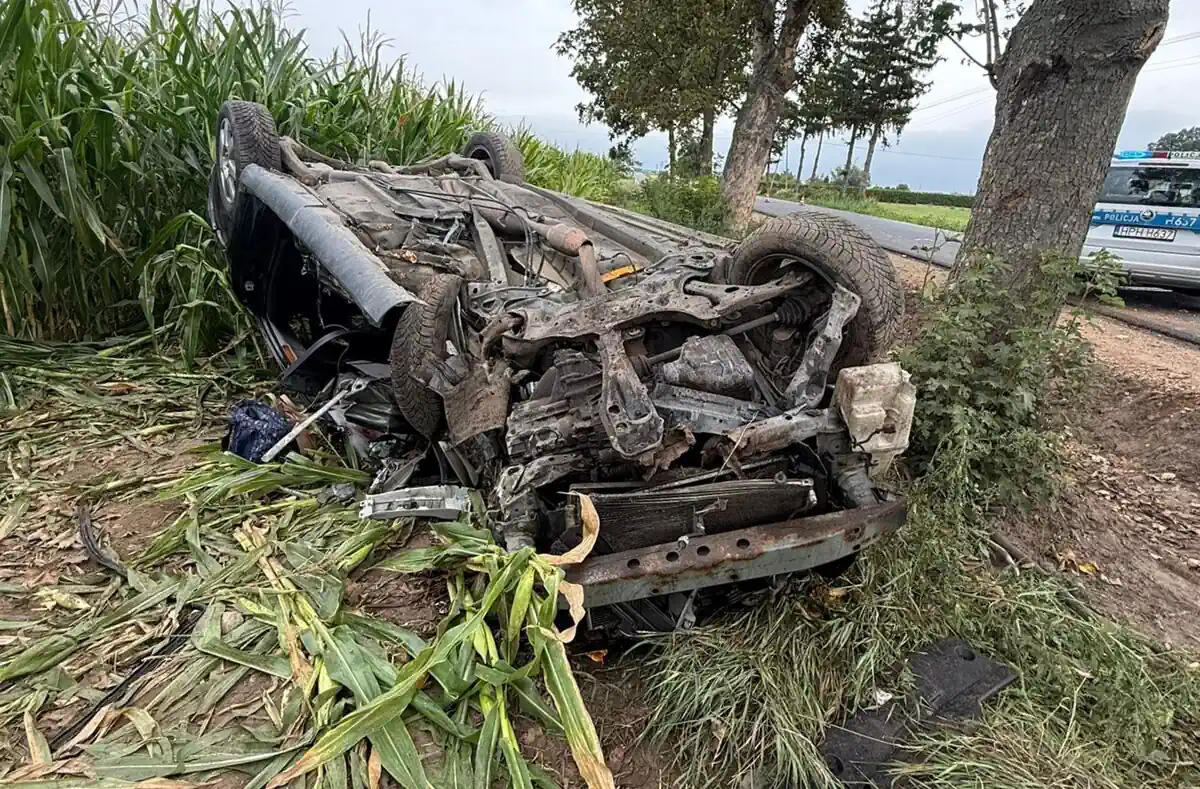 Nie żyje 57-latka. Toyota uderzyła w drzewo i dachowała w polu kukurydzy