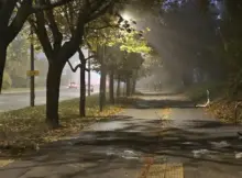 Początek Jesieni w Warszawie. Puste ulice i mgła.