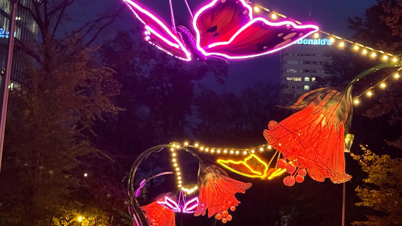 Iluminacja w Parku Świetokrzyskim. Zdjęcie wykonane w dniu rozświetlenia 15.10.2026 roku.