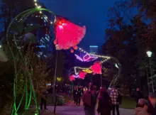 Iluminacja w Parku Świetokrzyskim. Zdjęcie wykonane w dniu rozświetlenia 15.10.2026 roku.
