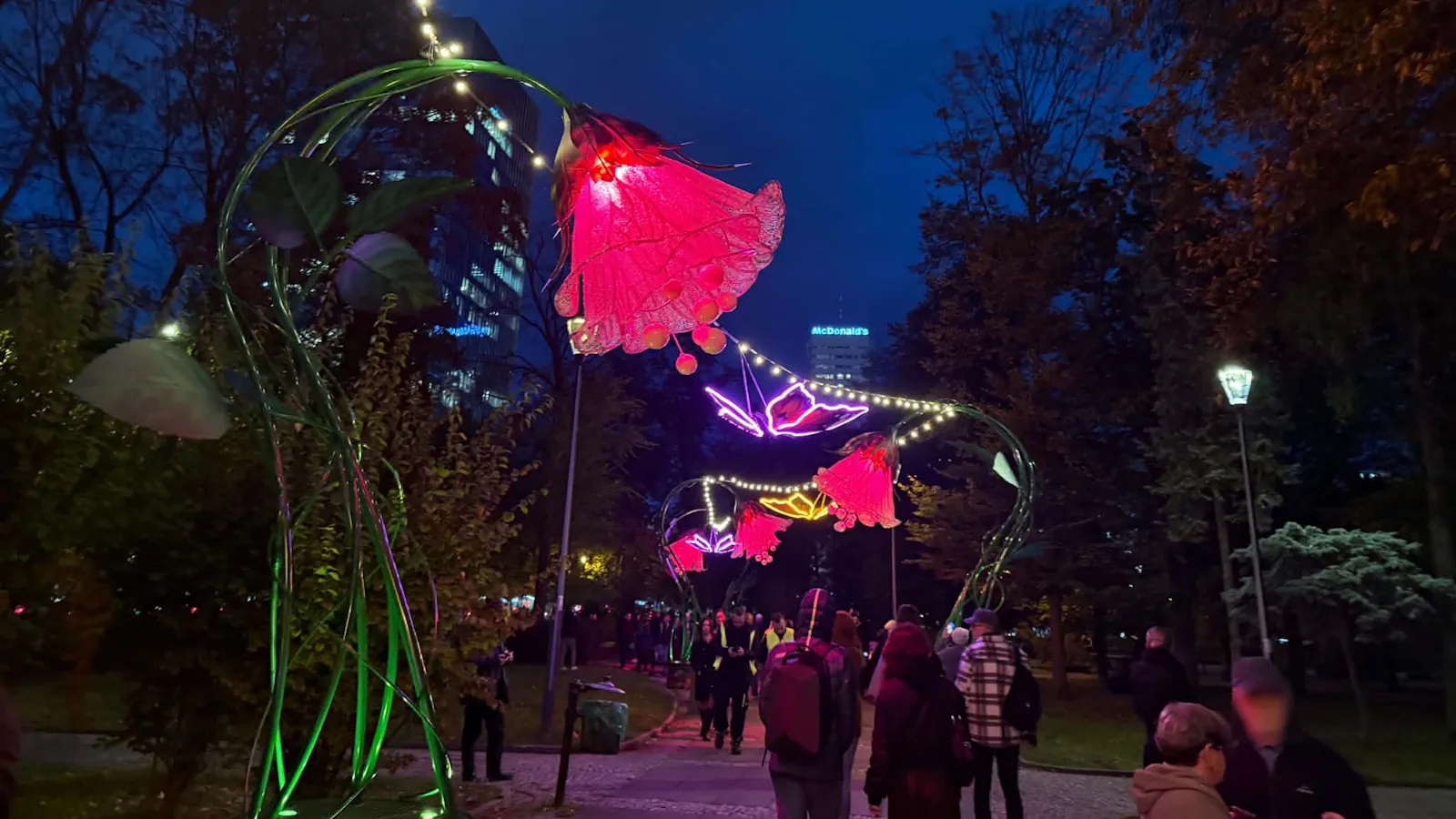 Iluminacja w Parku Świetokrzyskim. Zdjęcie wykonane w dniu rozświetlenia 15.10.2026 roku.